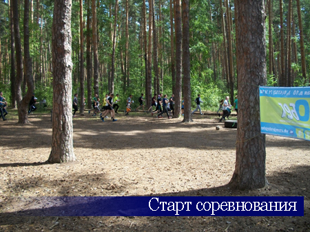 15 июля 2017 г. сотрудники отдела ГФС России в г. Тамбове приняли участие в открытых соревнованиях по спортивному ориентированию для непрофессионалов «Динамо бежит». Старт соревнования 15 июля 2017 г. сотрудники отдела ГФС России в г. Тамбове приняли участие в открытых соревнованиях по спортивному ориентированию для непрофессионалов «Динамо бежит». Старт соревнования