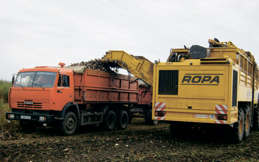 A9RC119.jpg